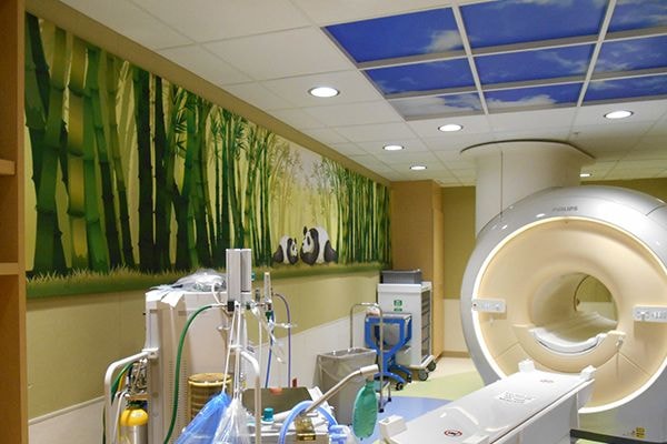  - Image360-Plymouth-WallMurals&WallPaper-HealthCare (2)